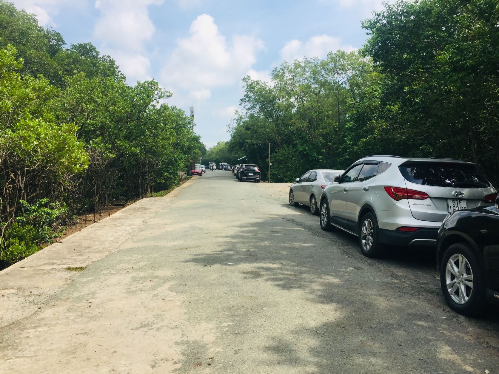 Chạy xe vào tận trong đảo khỉ nhưng cẩn thận, khỉ thấy có đồ ăn trong xe sẽ cào trầy xước cửa xe ô tô.
