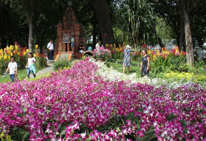 Festival hoa lan