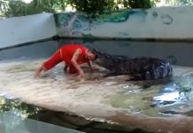 xiếc cá sấu tại Thái Lan
