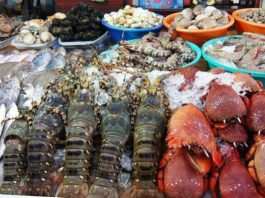 hai san tai phan thiet
