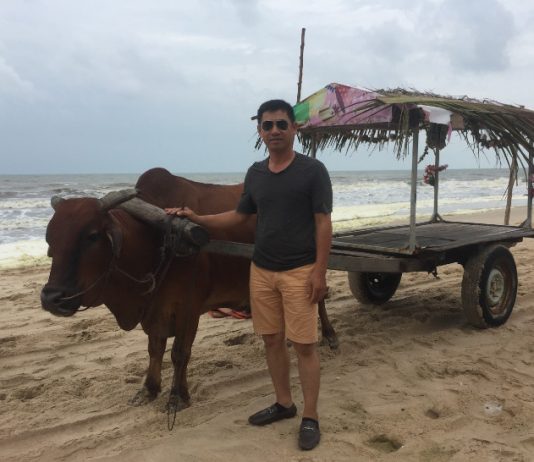 xe bò ở bãi biển Cam Bình Bình thuận
