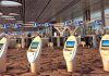 thủ tục nhập cảnh tại sân bay Changi Singapore
